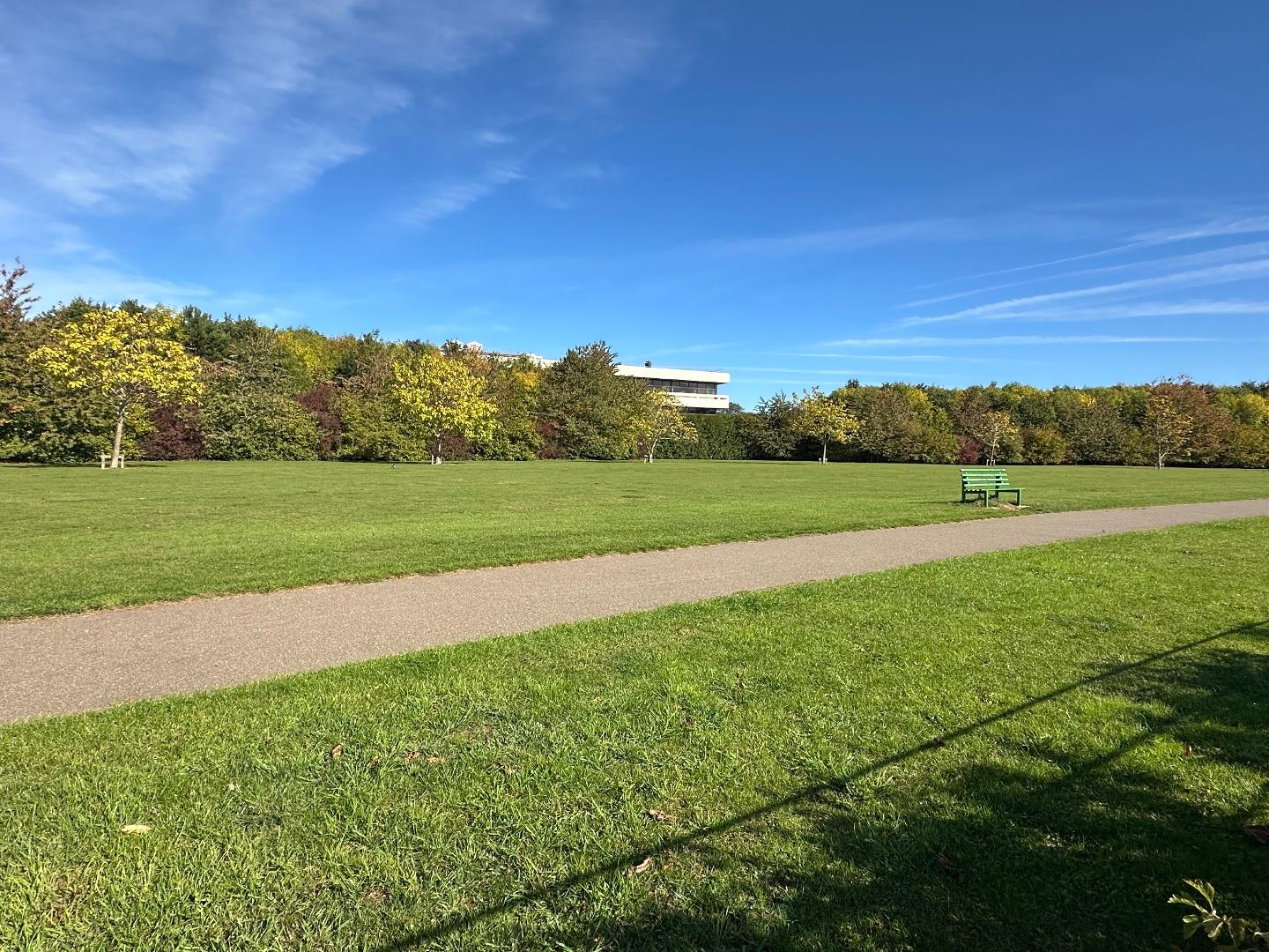 Goodwood Avenue, Parklands