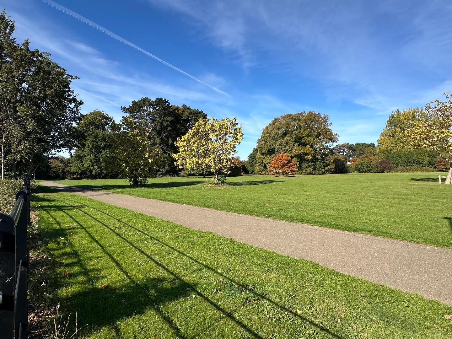 Goodwood Avenue, Parklands