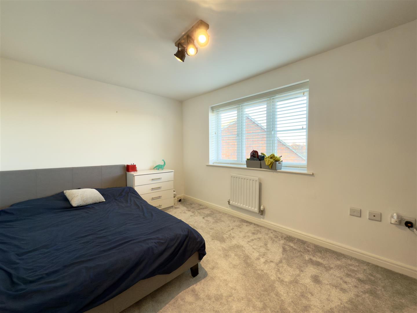 Larbourne Park Road, Flore