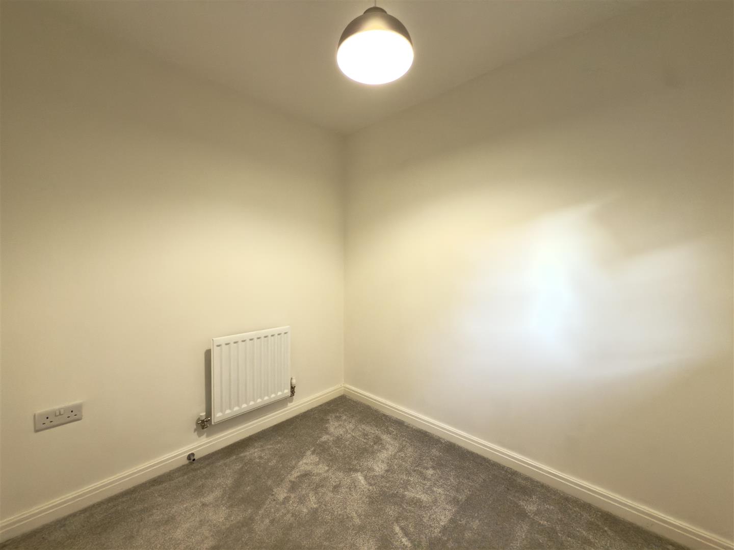 Larbourne Park Road, Flore