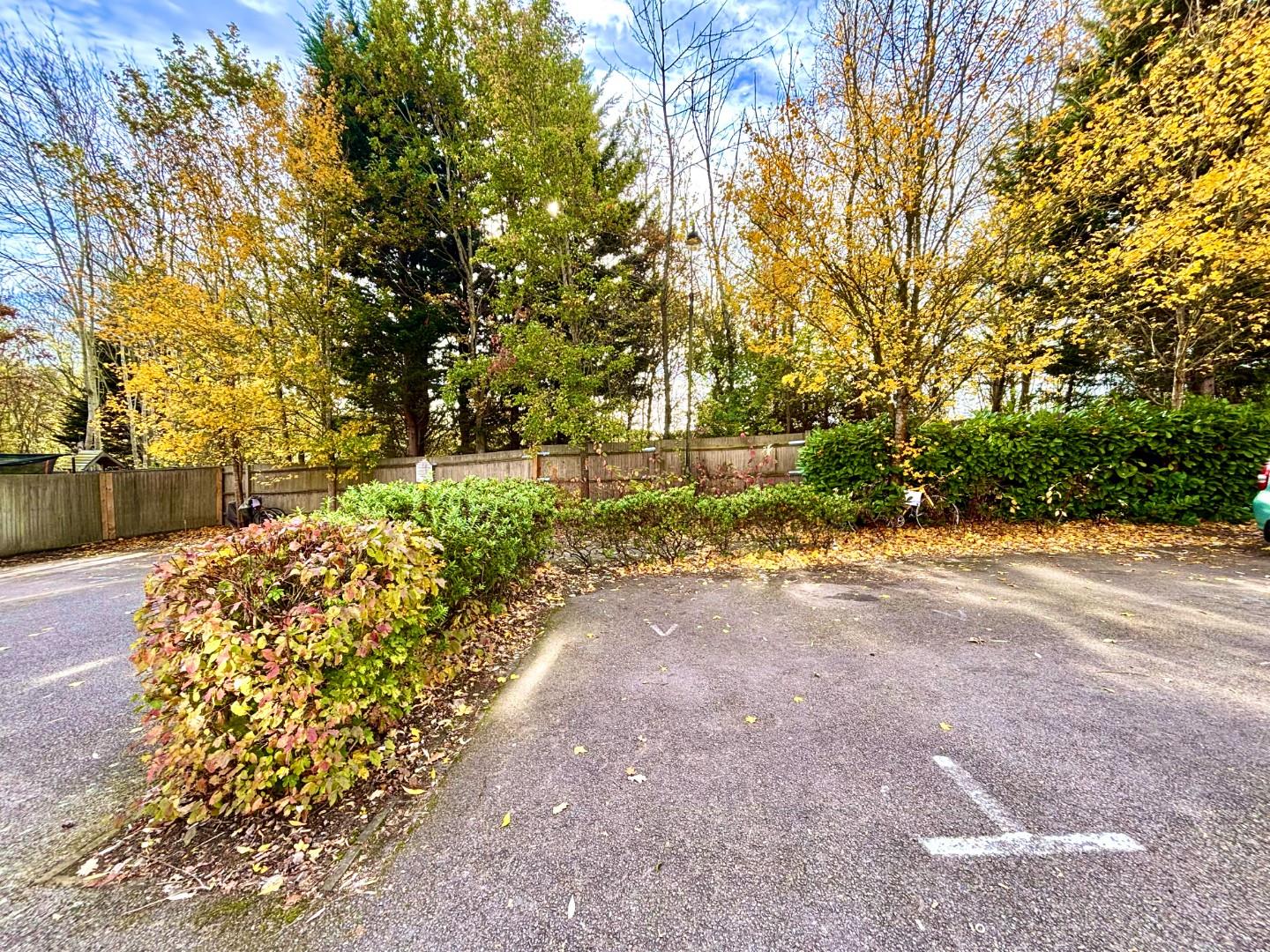 Bluebell Rise, Grange Park