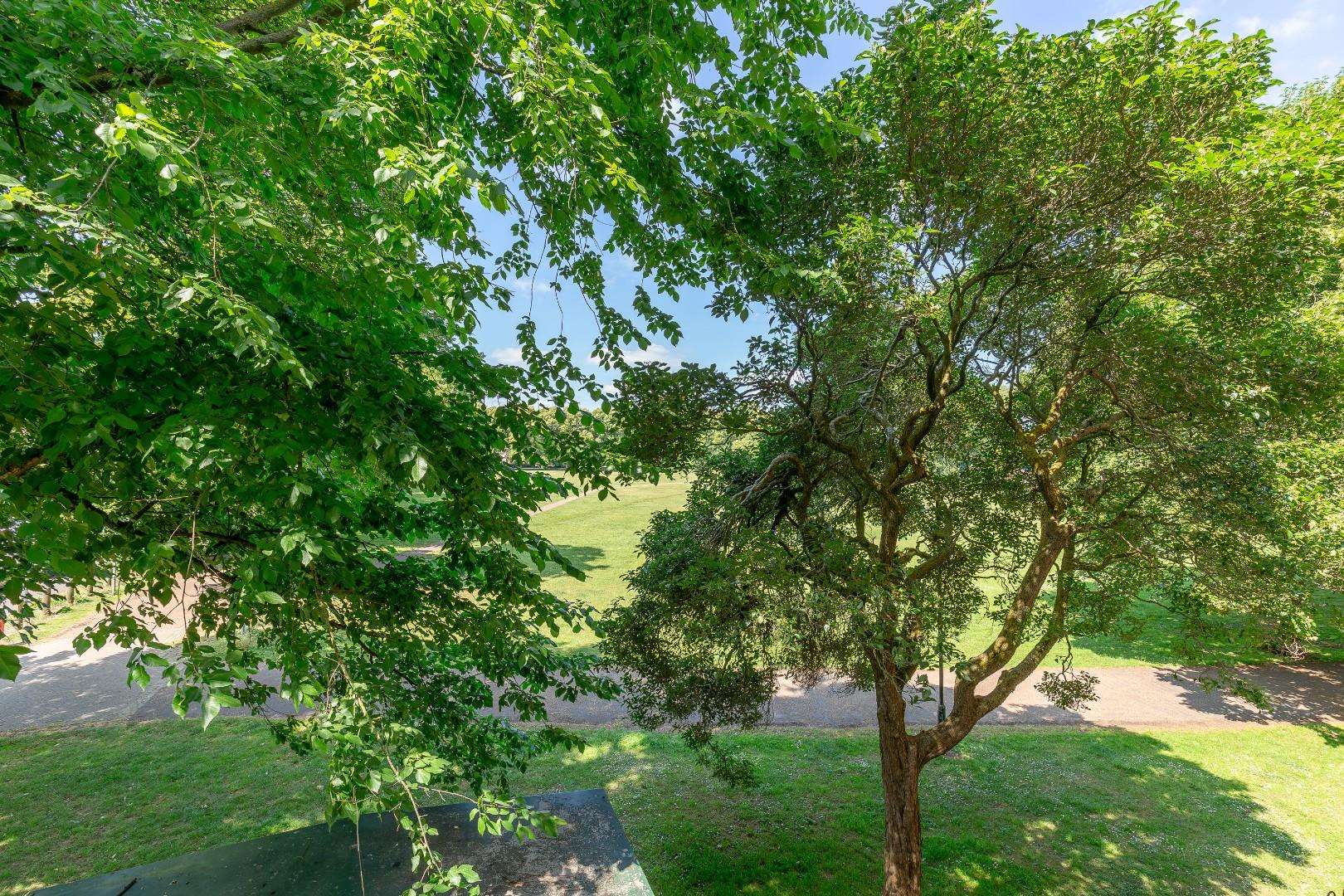 St. James Park Road, St. James