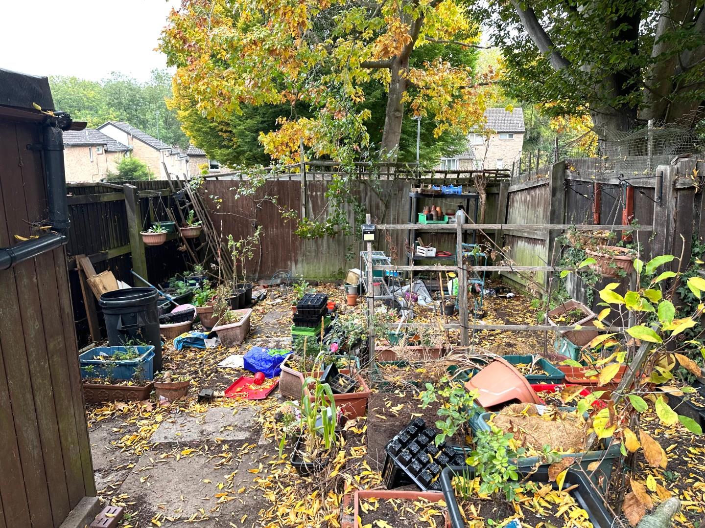 Maidencastle, Blackthorn