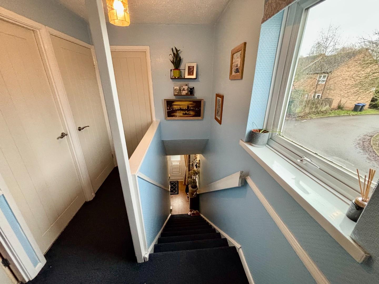 Donellan Green, Southfields