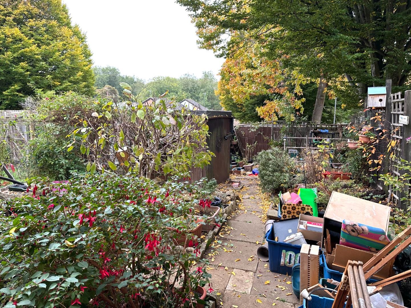 Maidencastle, Blackthorn