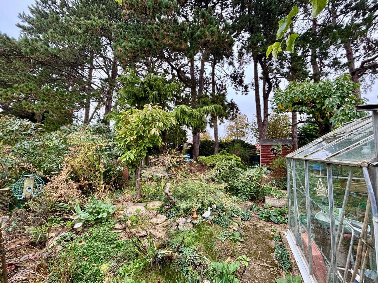 Bush Hill, The Headlands