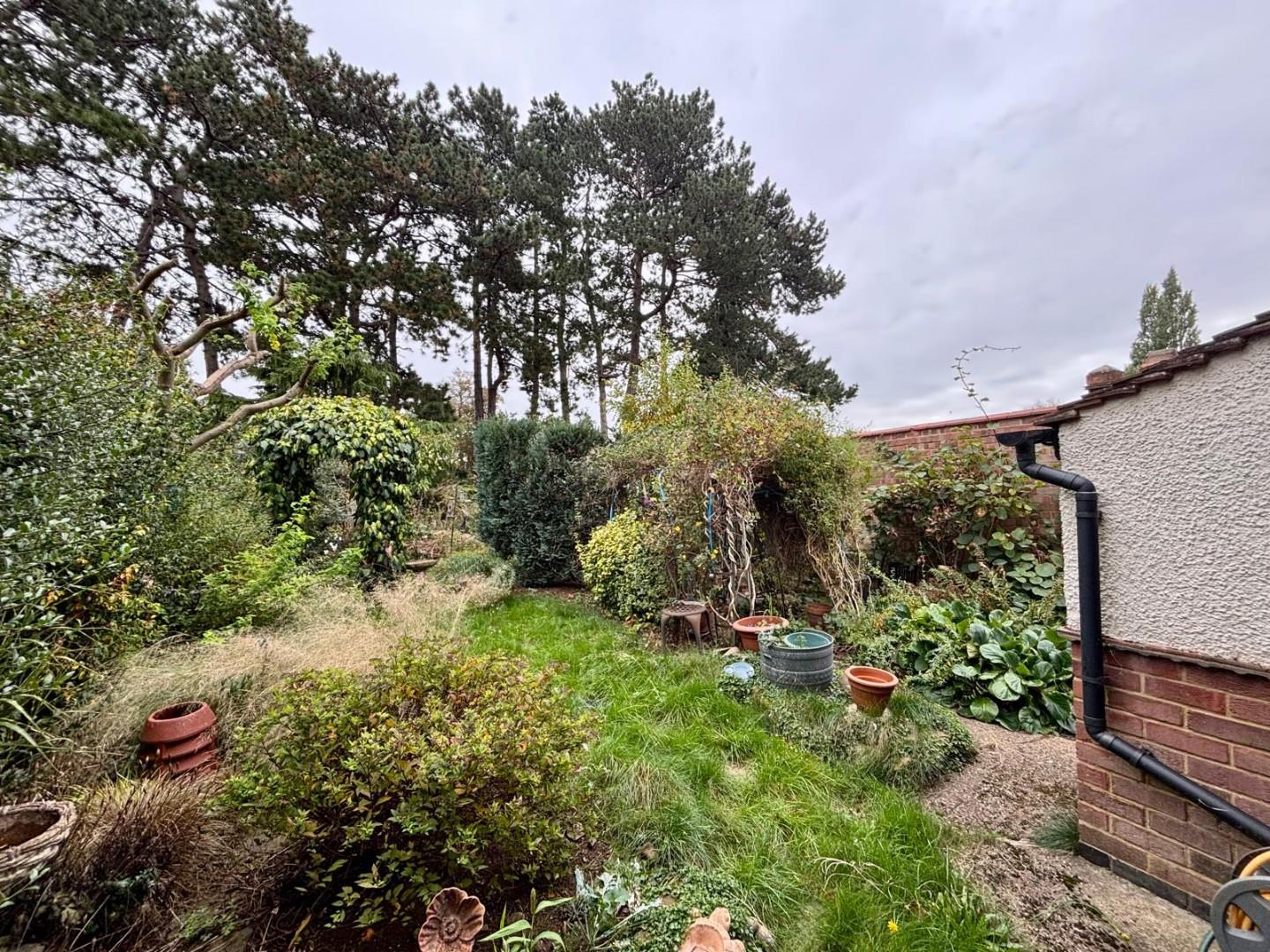 Bush Hill, The Headlands