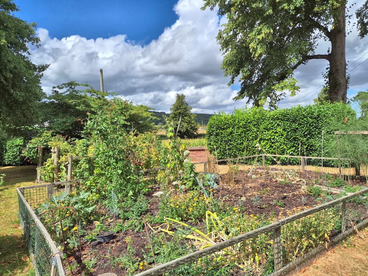 Llanfair Dyffryn Clwyd, Ruthin - KITCHEN GARDEN