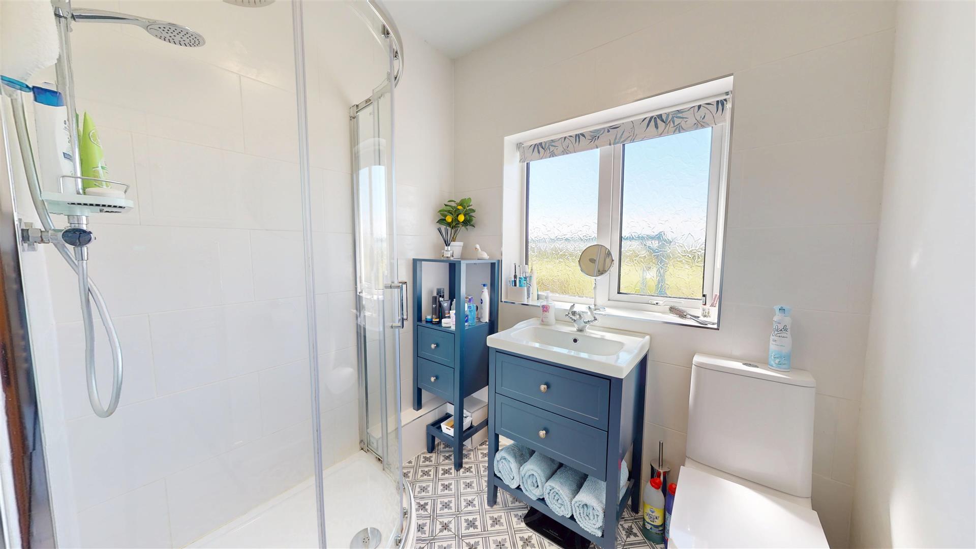 Llanbedr Dyffryn Clwyd, Ruthin - SHOWER ROOM
