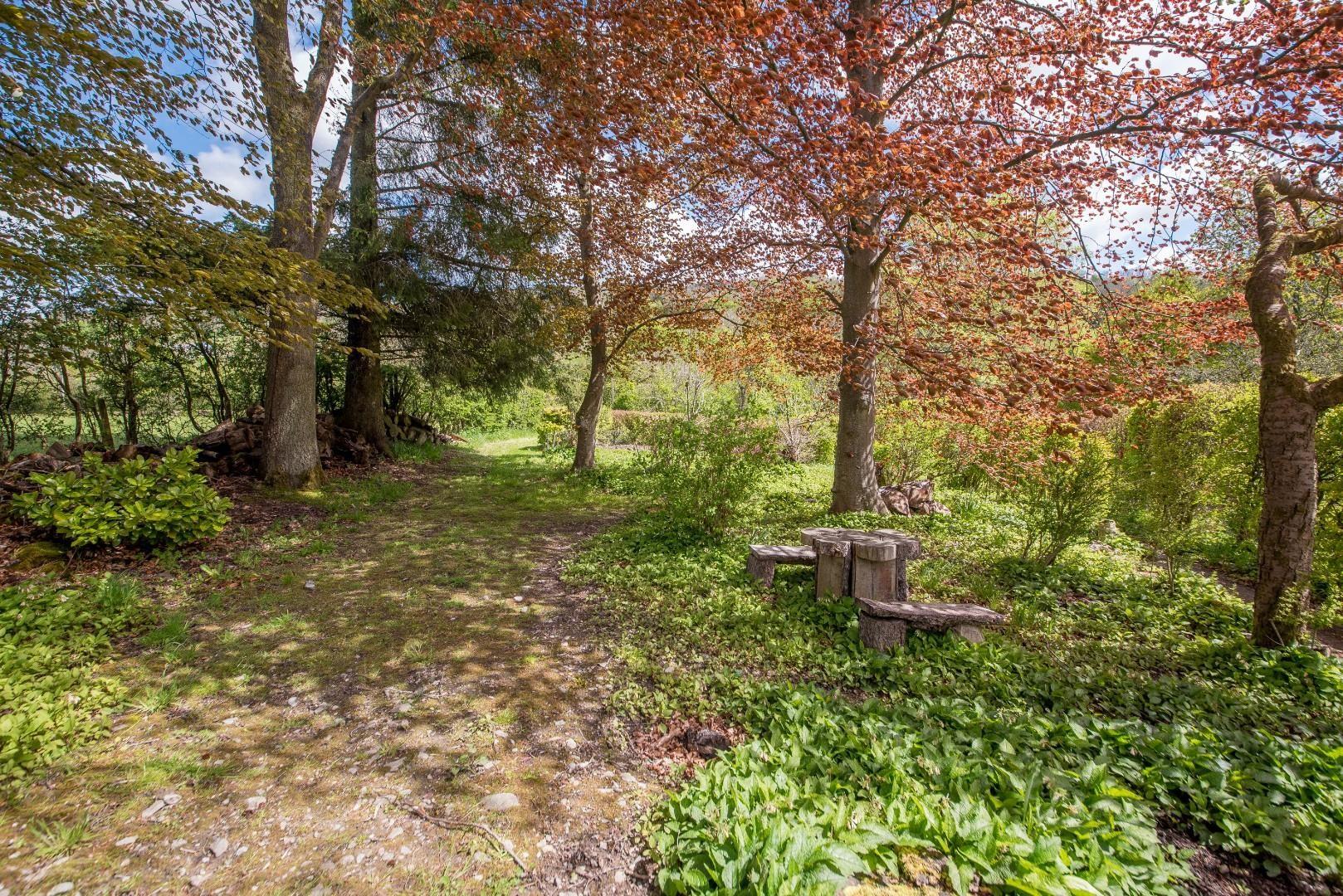 Back Road, Llanarmon-Yn-Ial, Mold - LOWER GARDEN