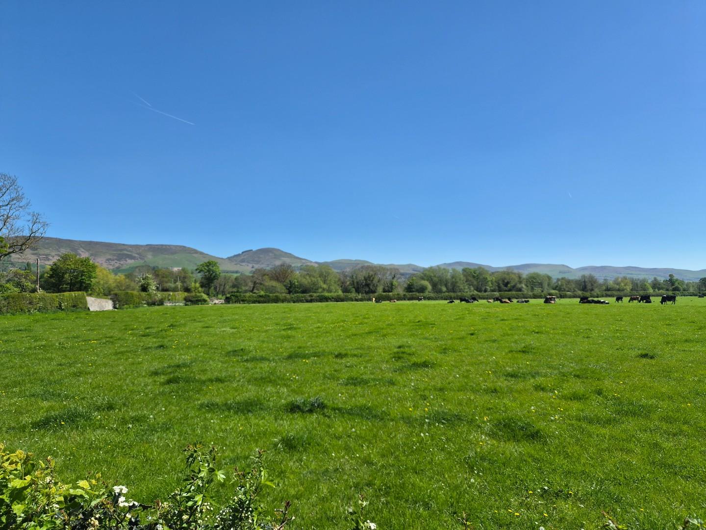 Rhewl, Ruthin - SOUTHERY ASPECT