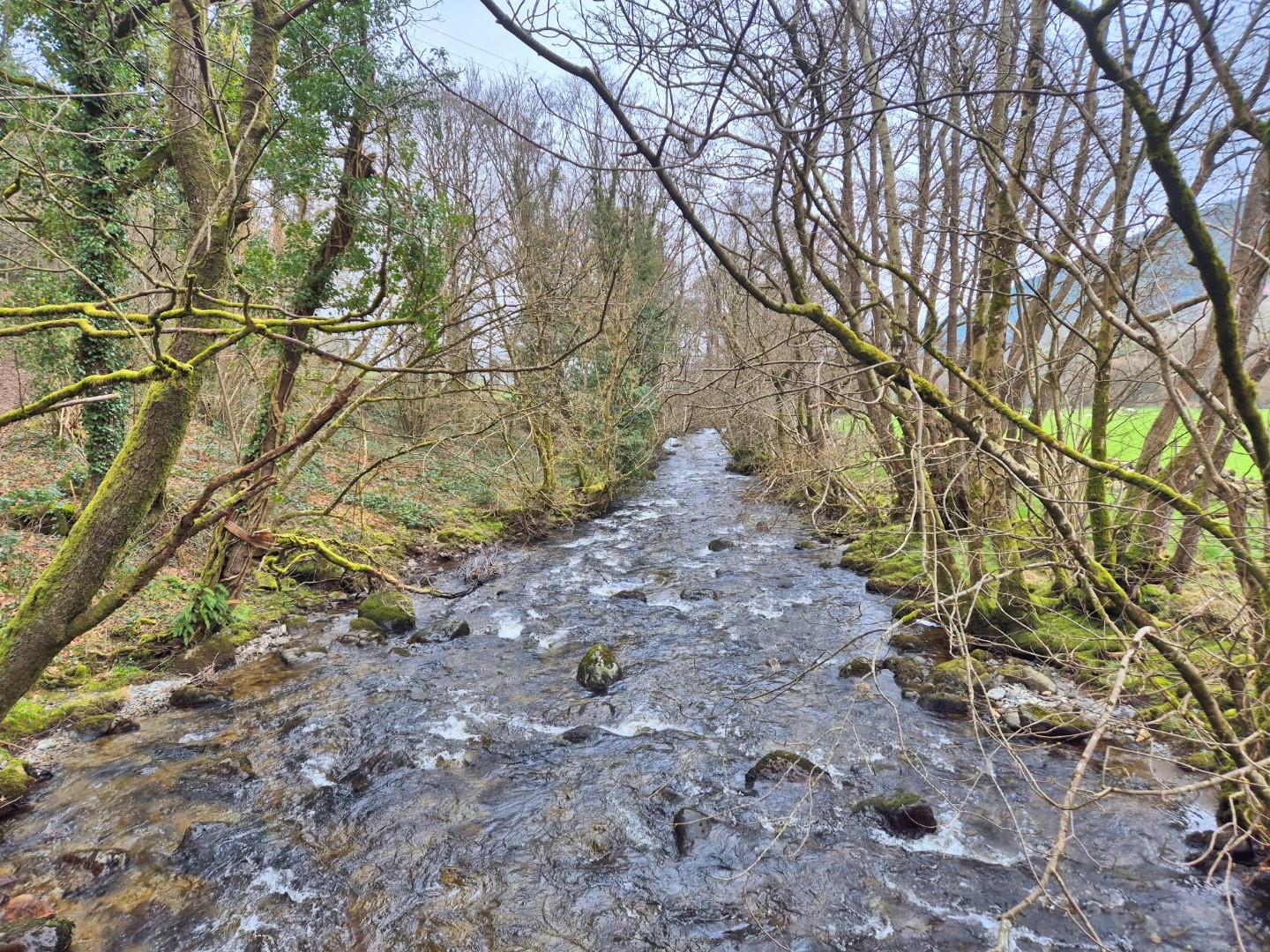 Llandrillo, Corwen - RIVER CEIDIOG