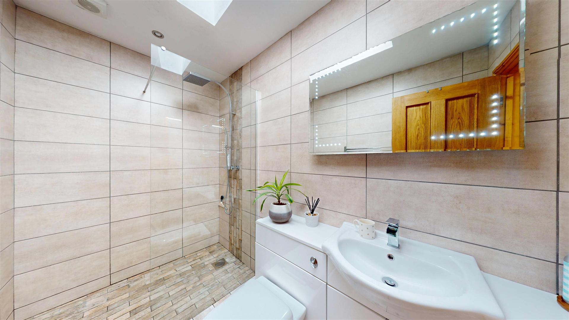 Frongoch, Bala - SHOWER ROOM