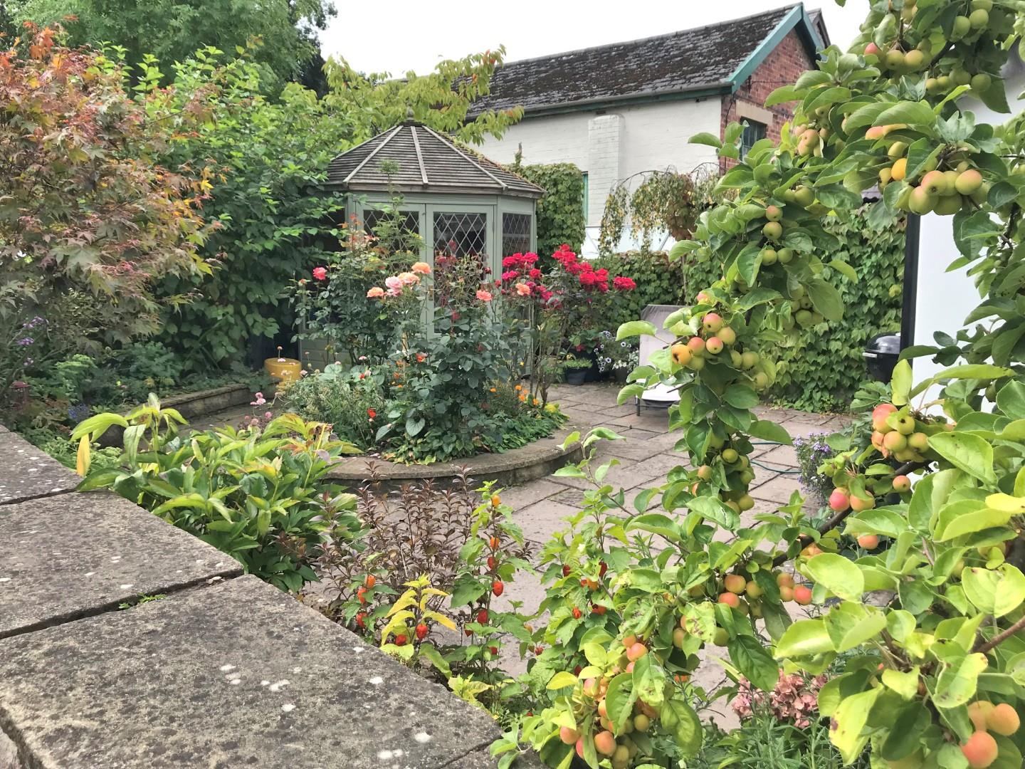 Clwyd Street, Ruthin - A SELECTION OF SUMMER PHOTOS OF THE GARDENS