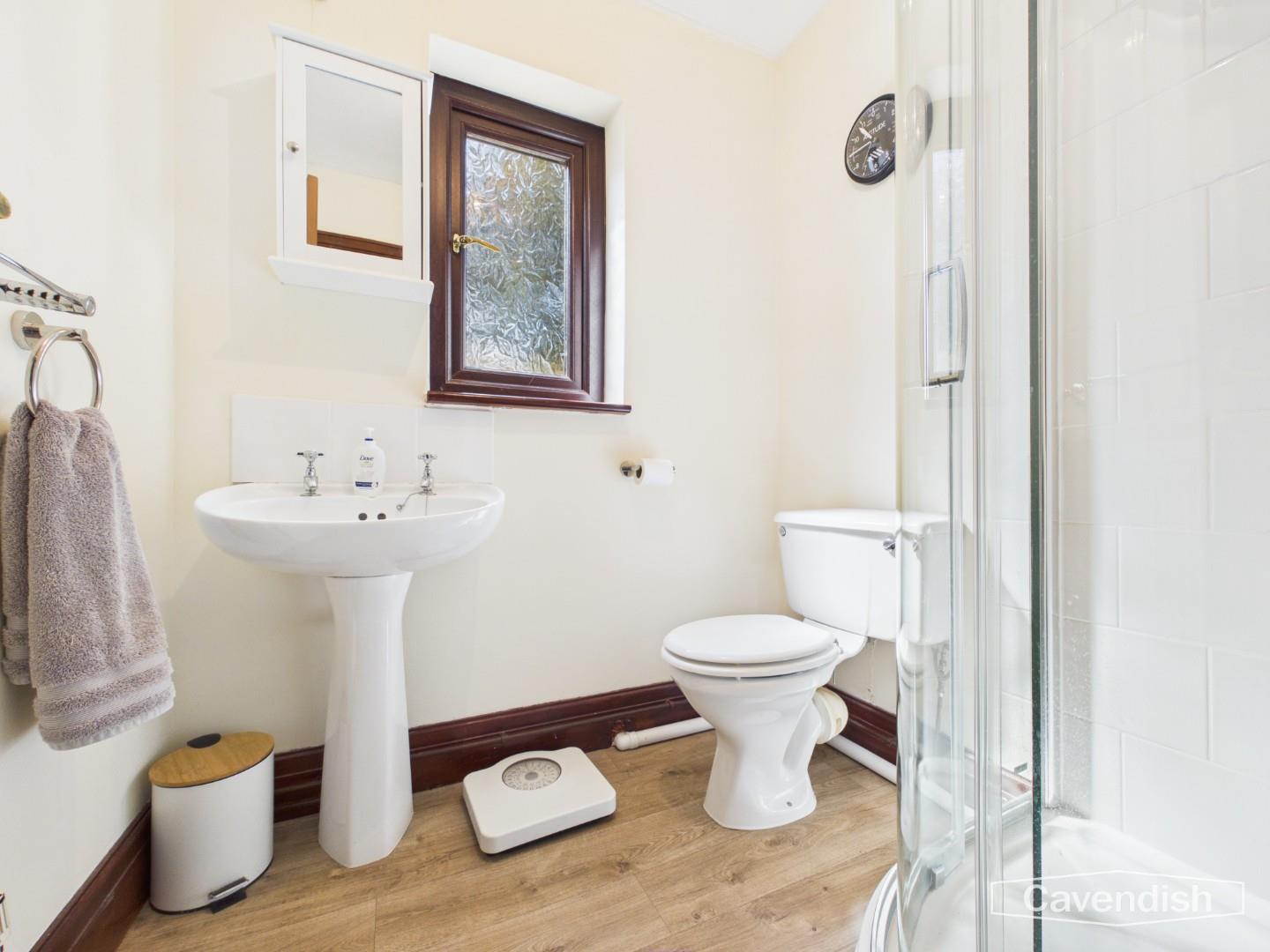Maes Gogor, Llansannan, Denbigh - Shower Room