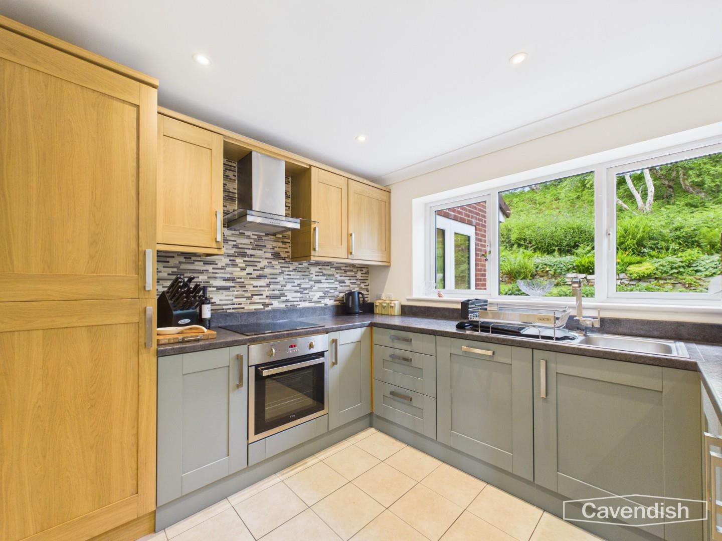 Bryn Eithin, Gwernymynydd, Mold - Kitchen