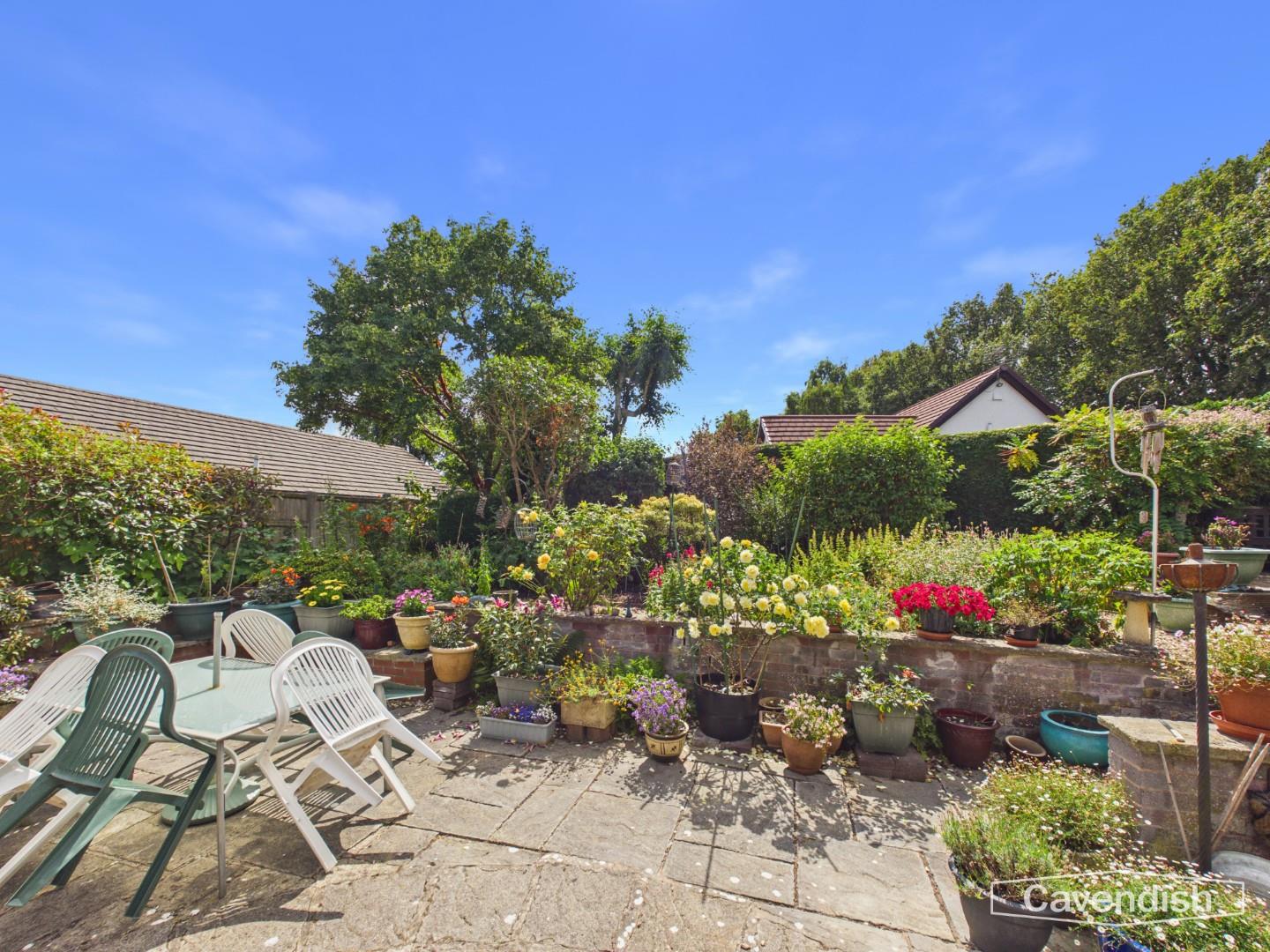 Dinghouse Wood, Buckley - Garden