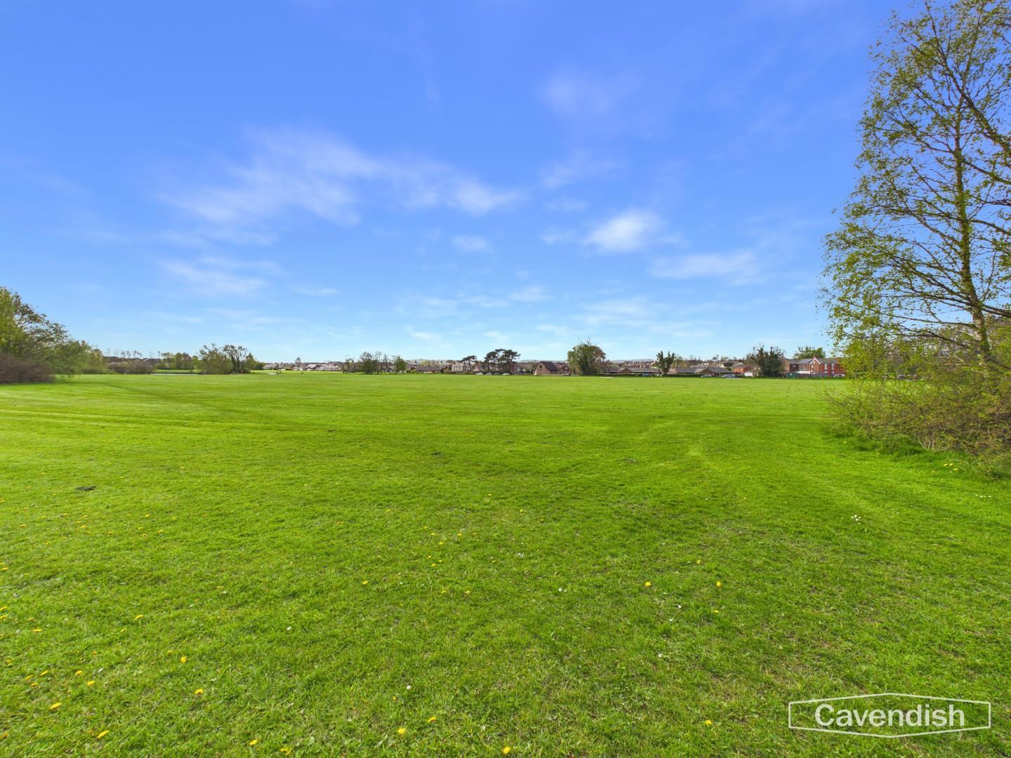 Higher Common Road, Buckley - The Common