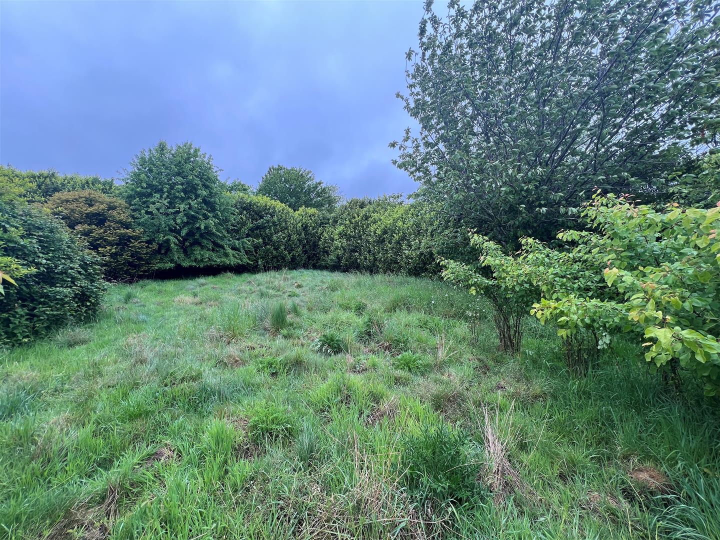 Vebra Property Image ID 