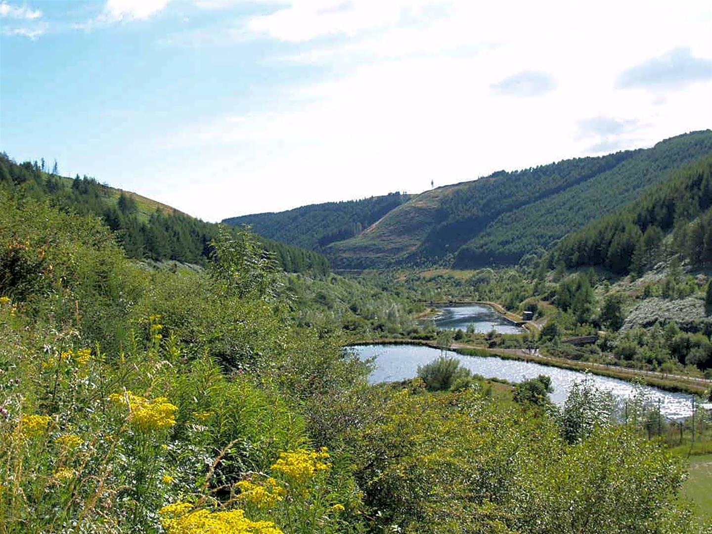 Property thumbnail 22