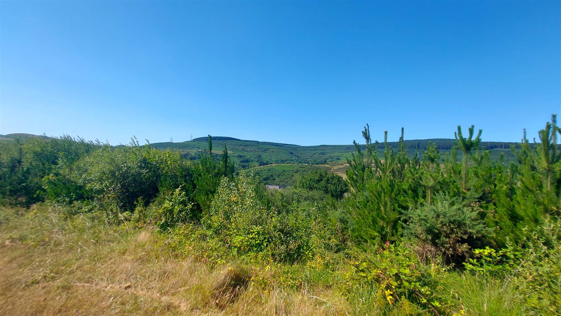 Property thumbnail 26