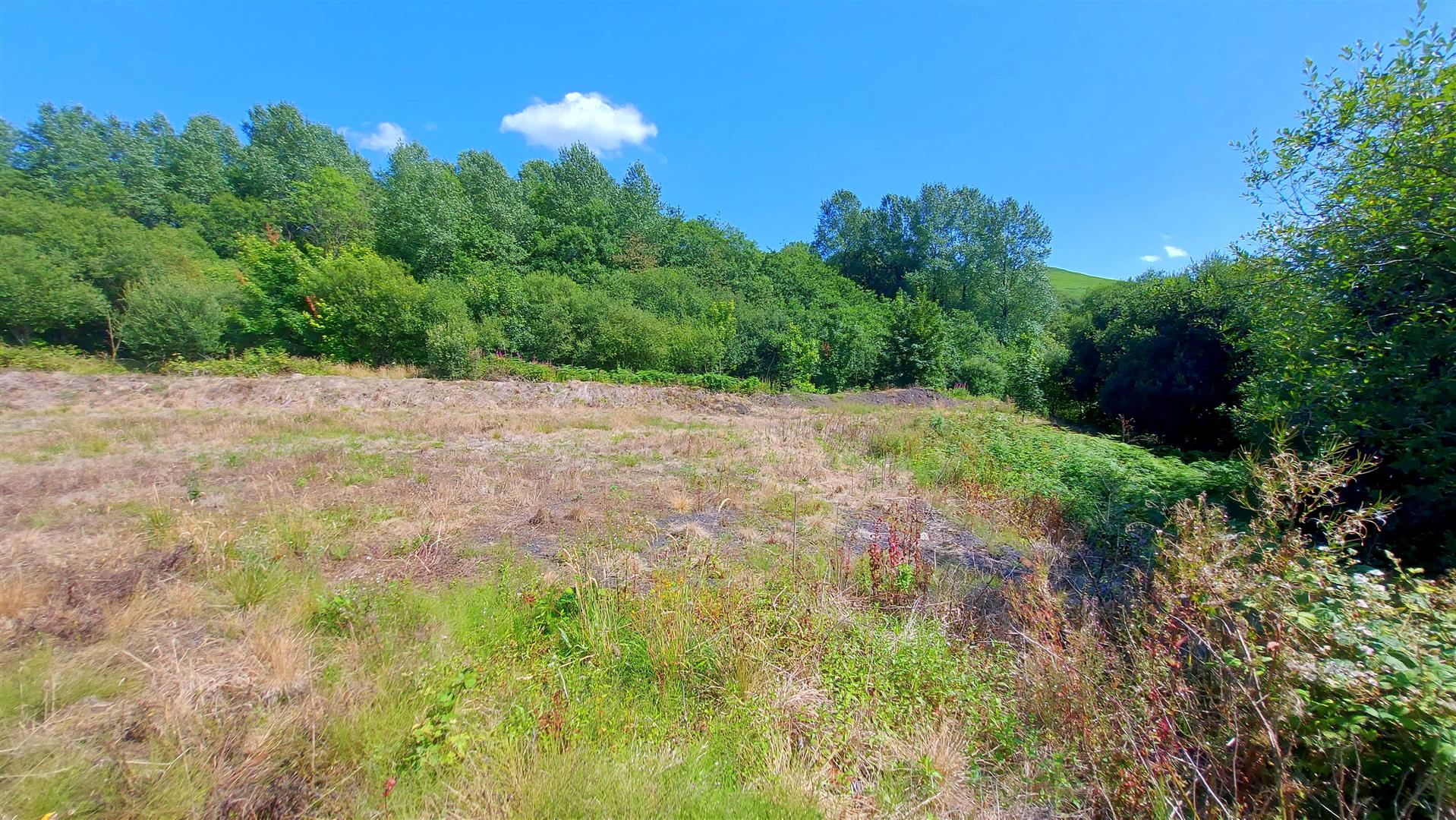 Property thumbnail 6