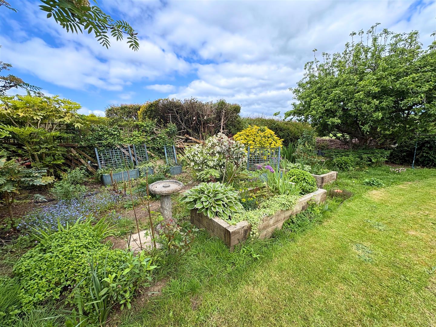 Property thumbnail 41