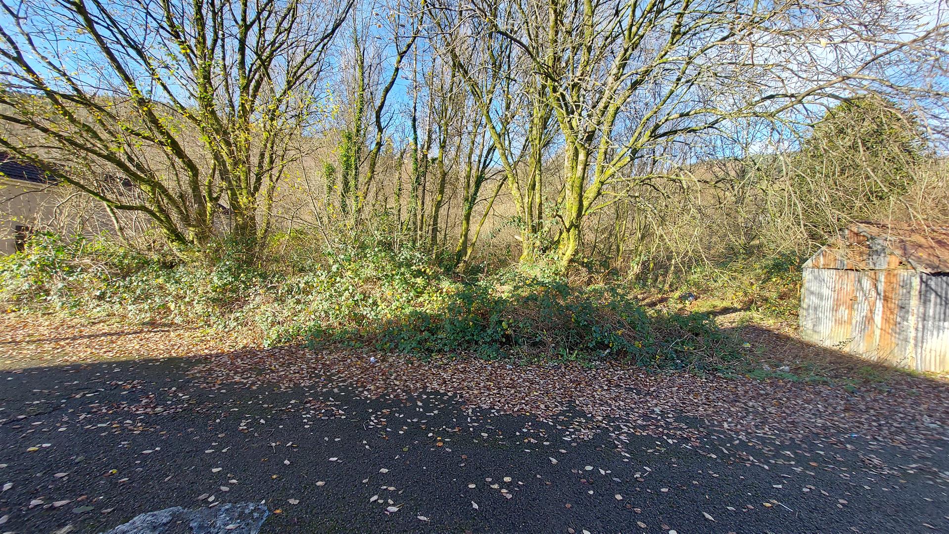 Property thumbnail 4