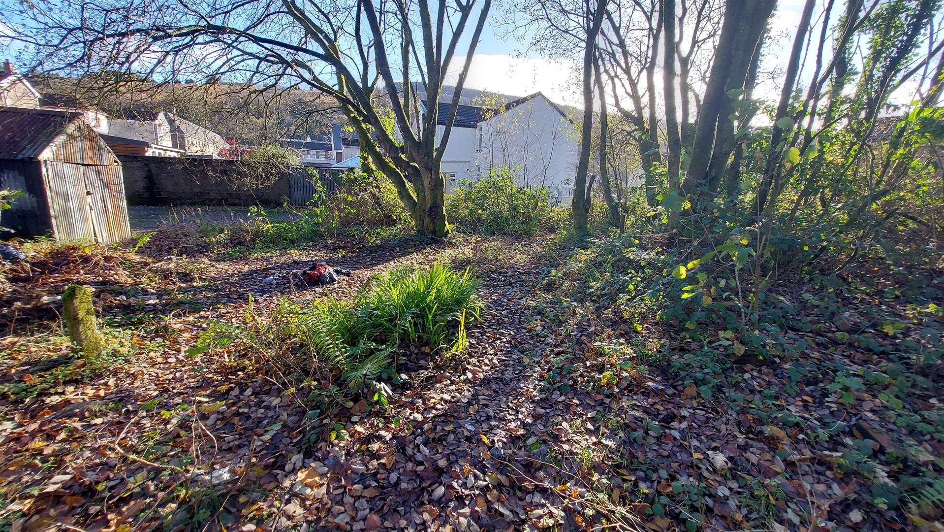 Property thumbnail 3