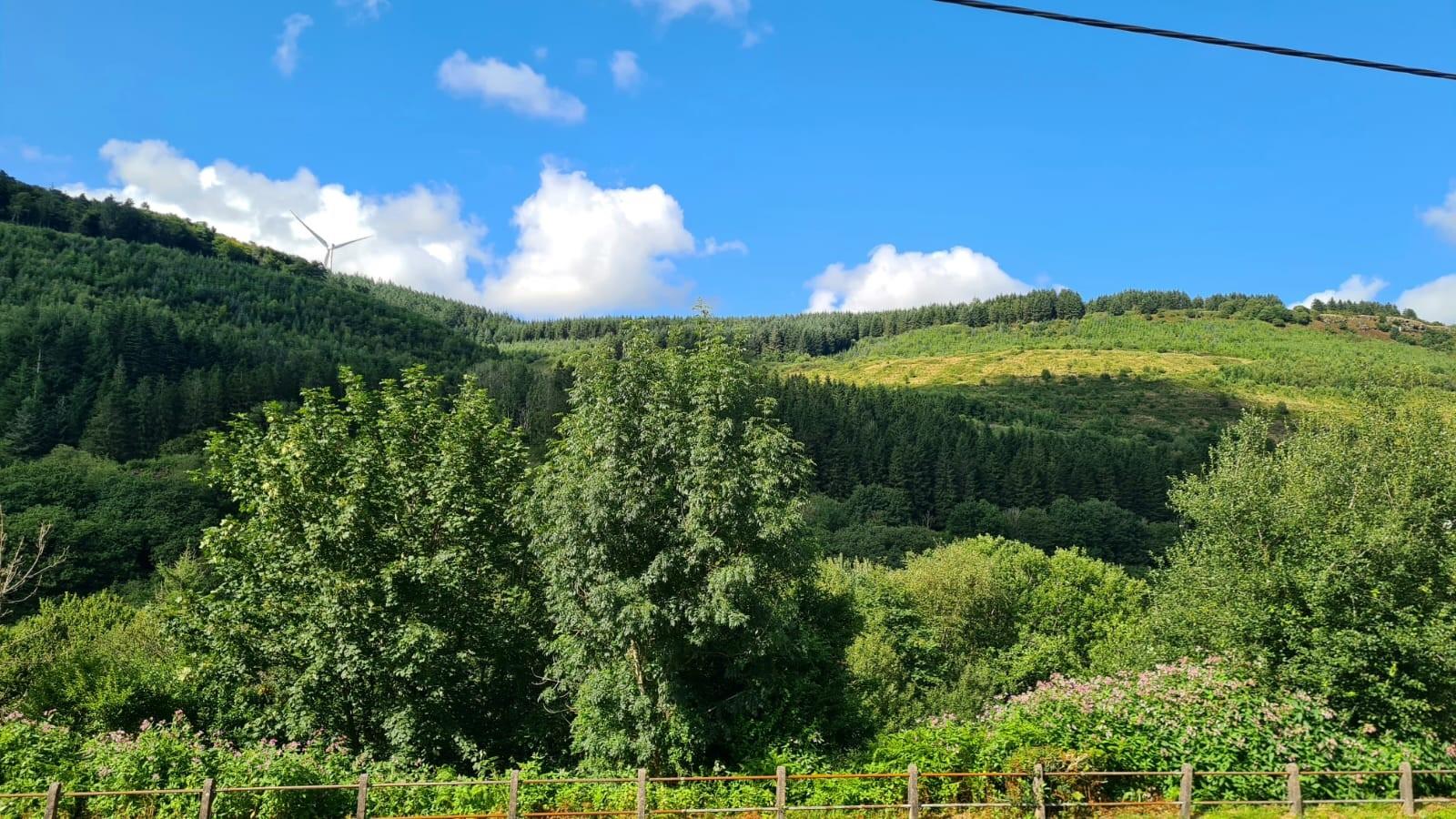 Property thumbnail 26