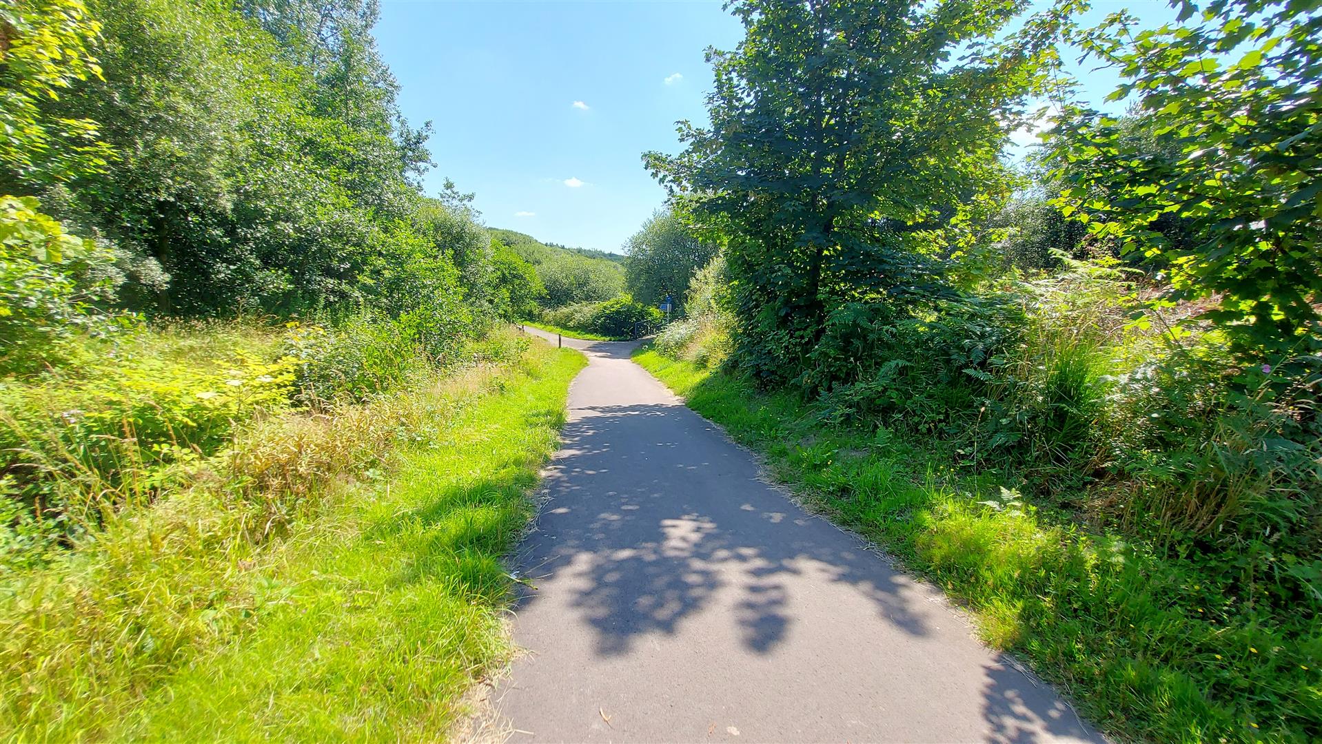 Property thumbnail 8