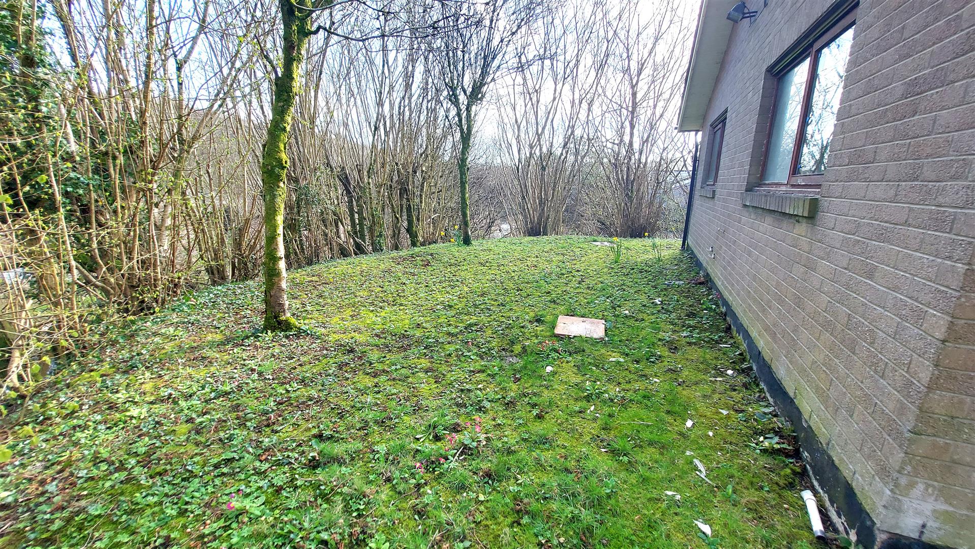 Property thumbnail 19