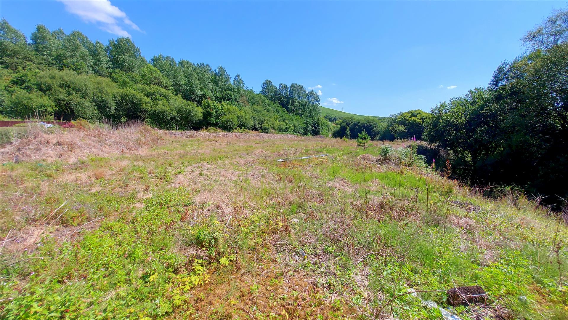 Property thumbnail 5