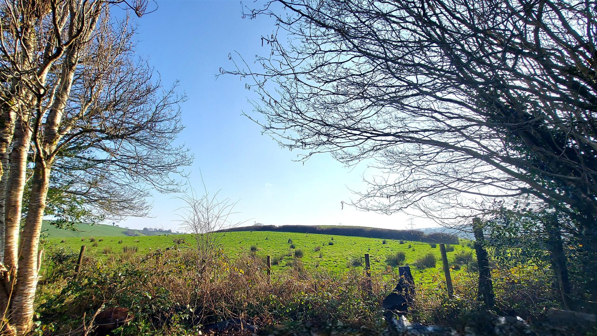 Property thumbnail 26