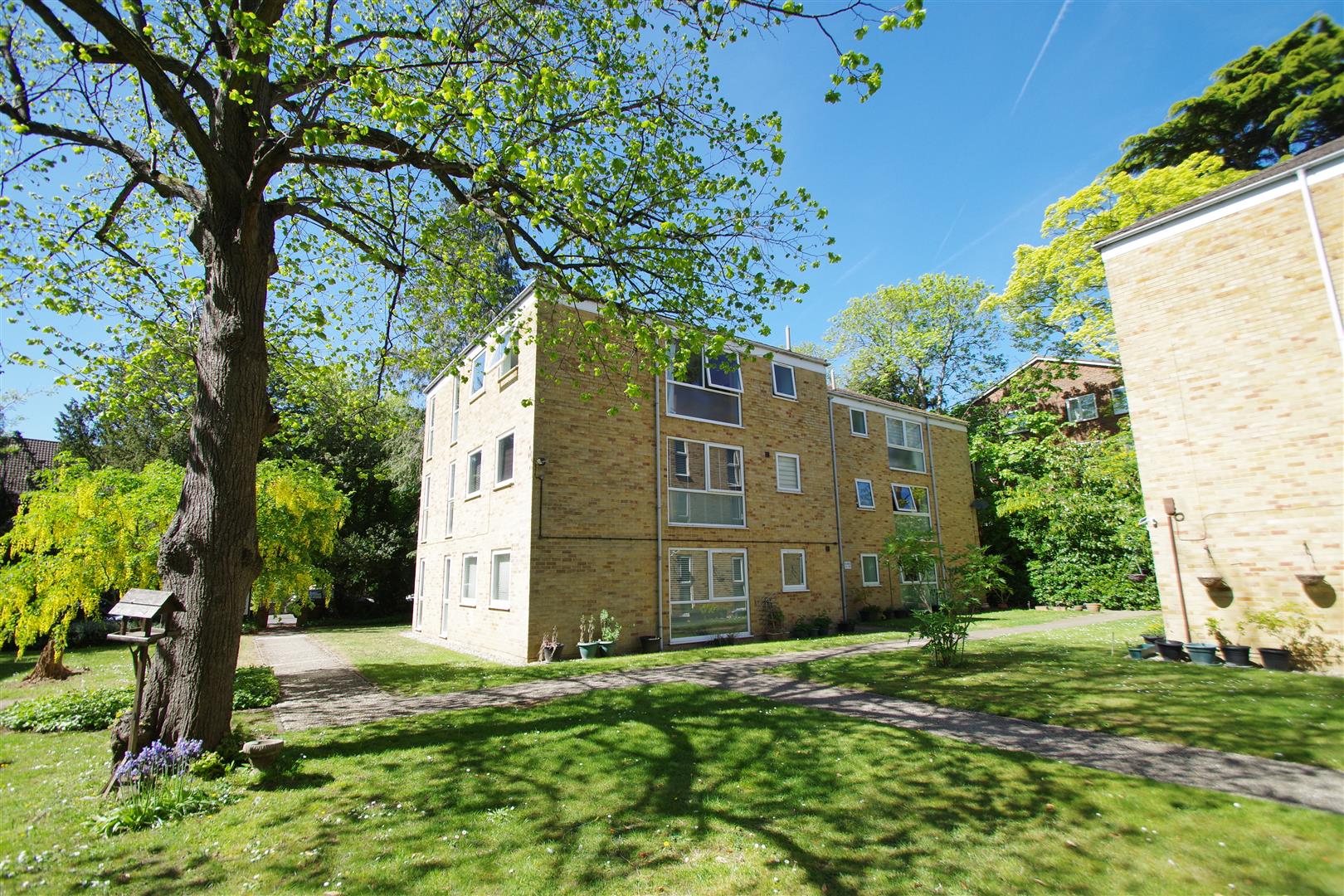 External