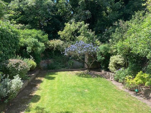 A photo a south facing garden with mature trees and an well maintained lawn.