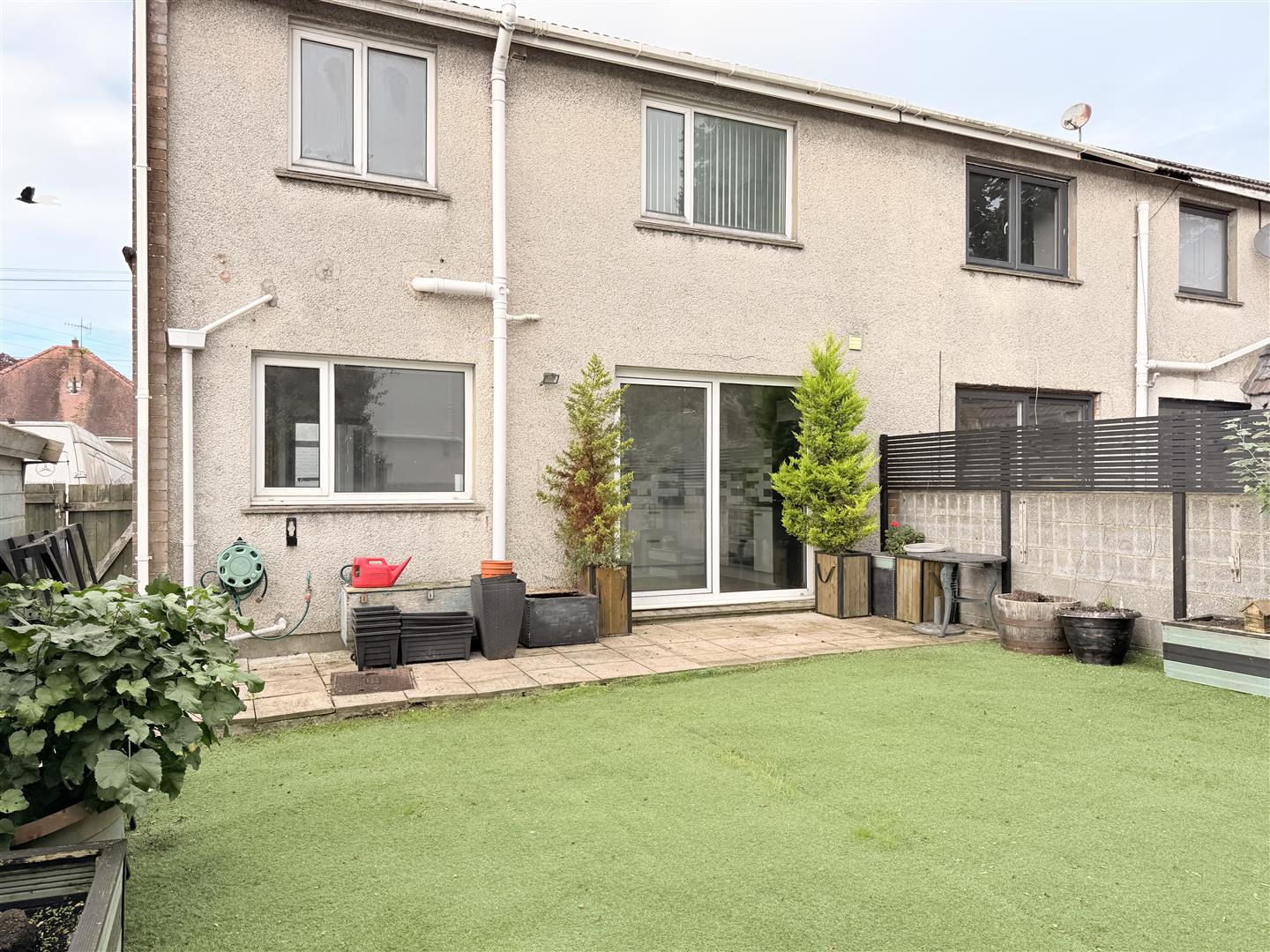 IMG_4595.jpeg