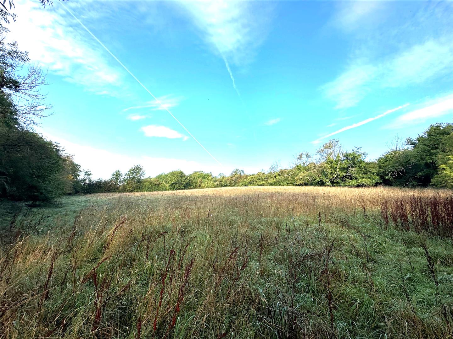 Trueman &amp; Grundy | School Lane, Puttenham, Guildford - Trueman &amp; Grundy