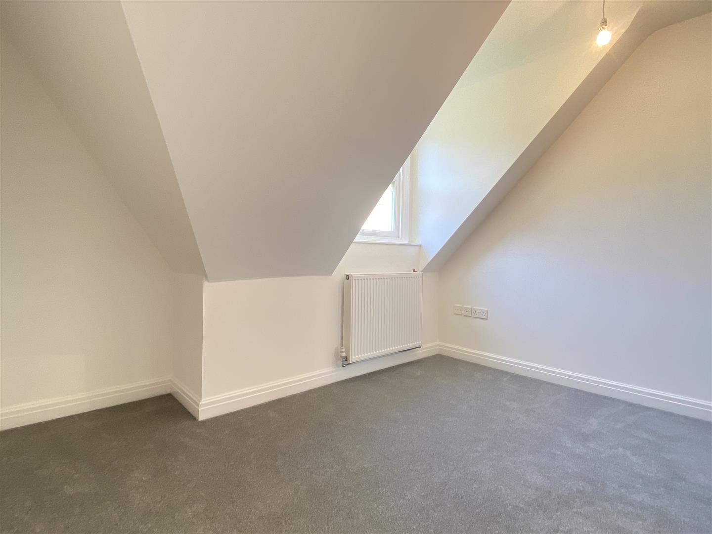 Beech Tree Mews, 131a Psalter Lane, Sheffield, S11 8UX