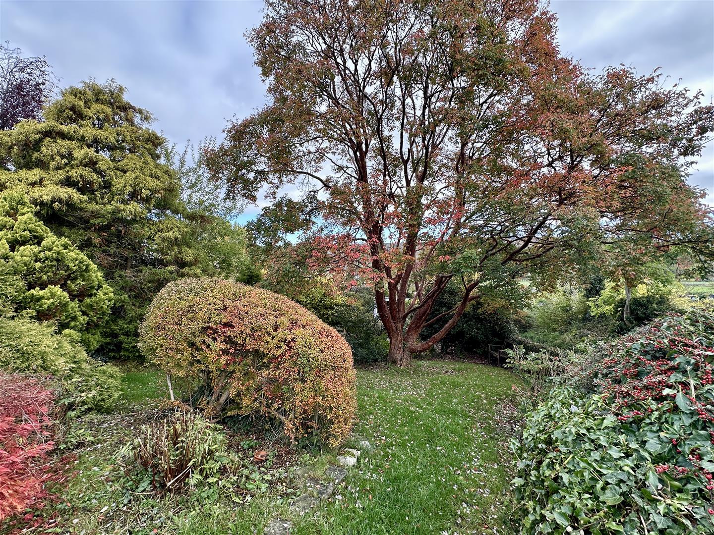 Virginia Cottage, Trinkey Lane, Stoney Middleton, Hope Valley, S32 4TX