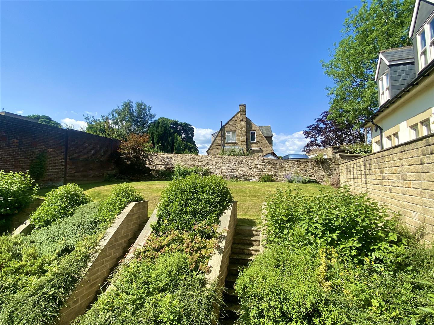 Beech Tree Mews, 131a Psalter Lane, Sheffield, S11 8UX