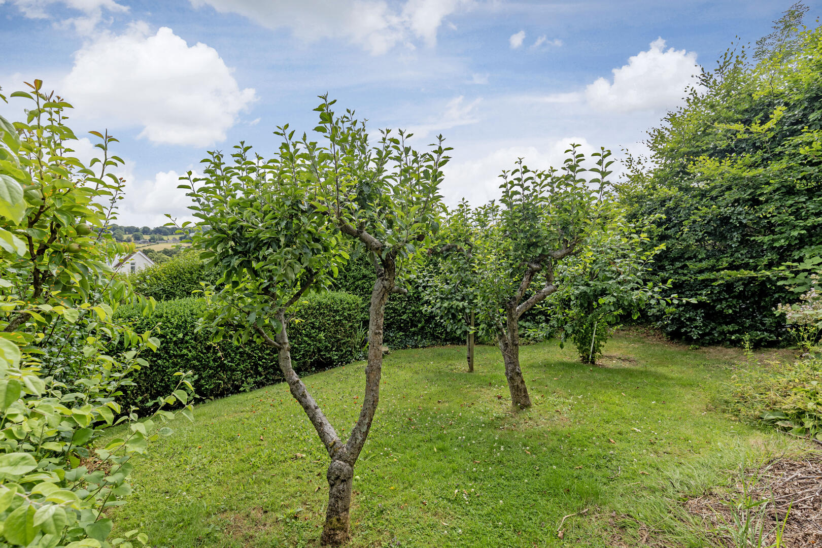 5, Canterbury Crescent, Sheffield, S10 3RW