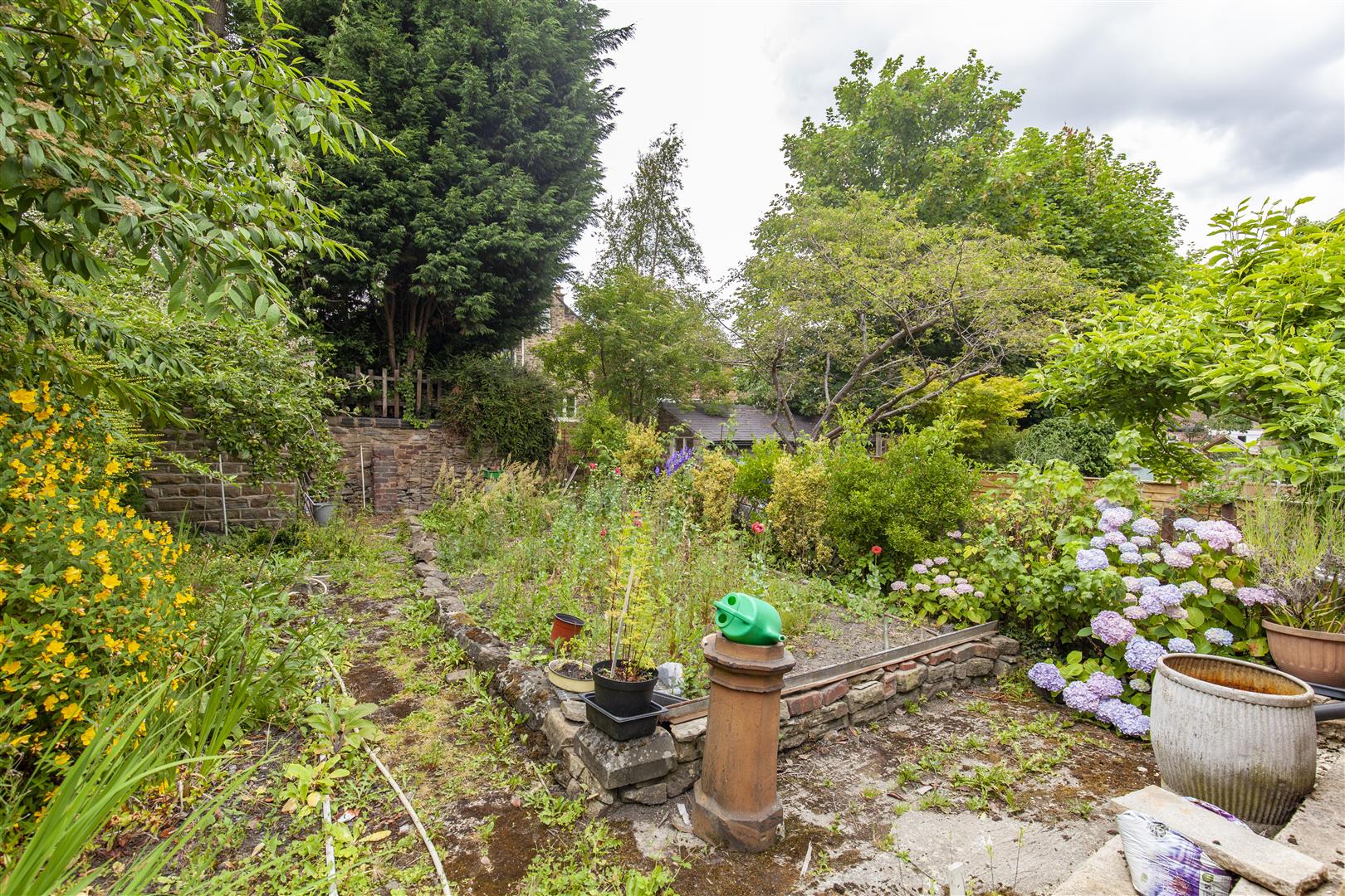 20, Rupert Road, Nether Edge, Sheffield, S7 1RP