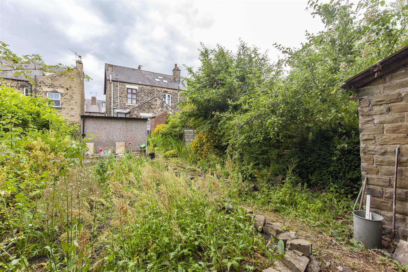 20, Rupert Road, Nether Edge, Sheffield, S7 1RP
