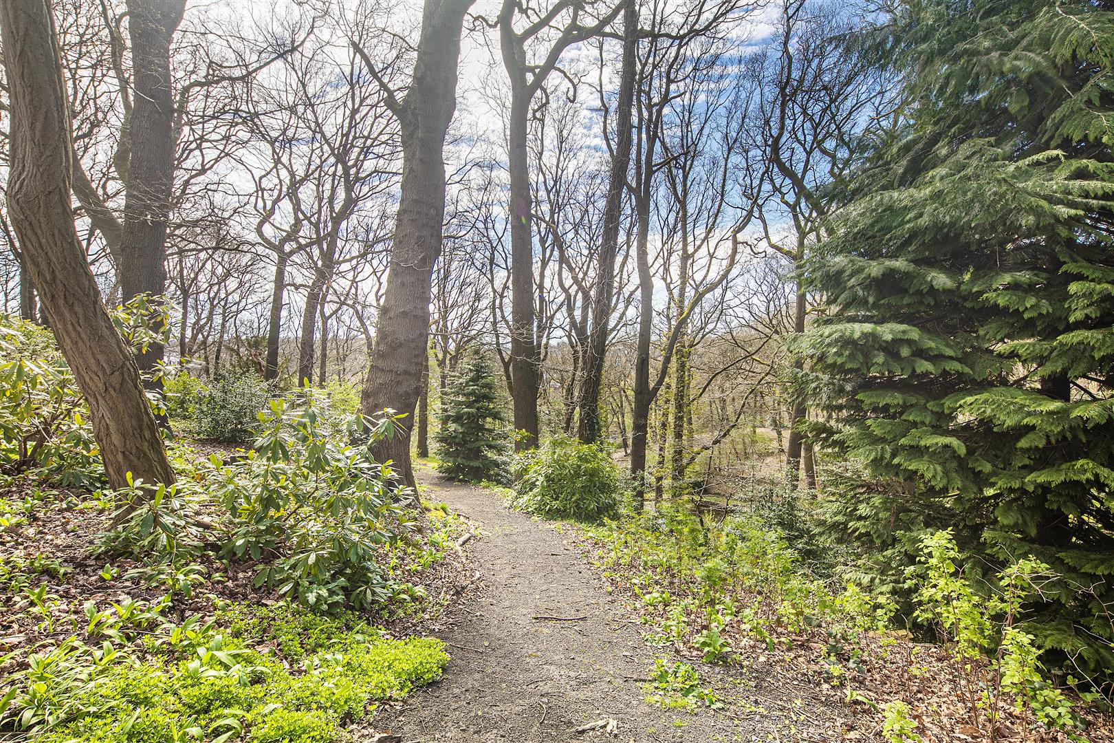 24 The Glen, Endcliffe Vale Road, Endcliffe, Sheffield, S10 3FN