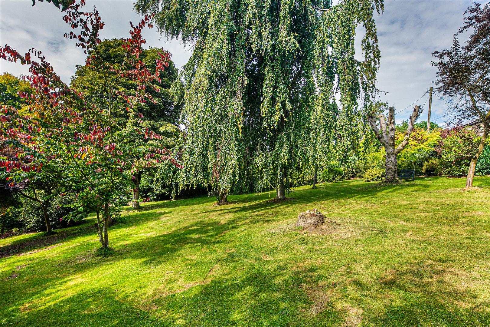 Rhinegold, Hollin House Lane, Loxley, Sheffield, S6 6RG