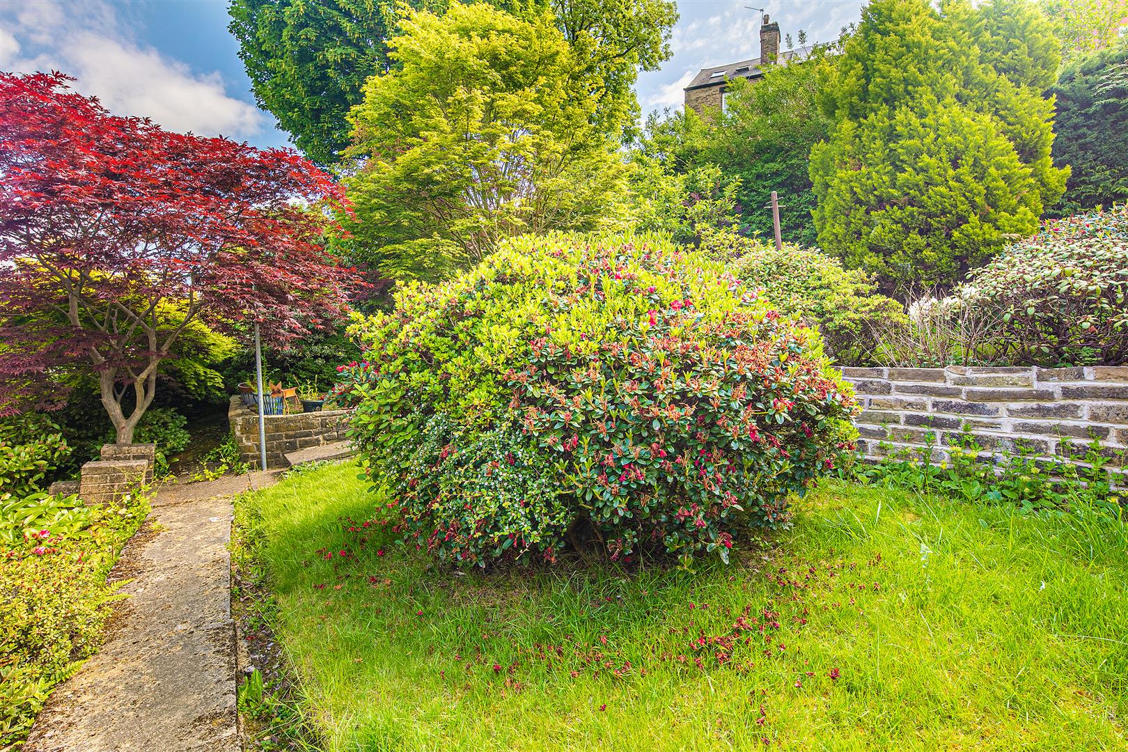 429, Walkley Bank Road, Walkley, Sheffield, S6 5AQ