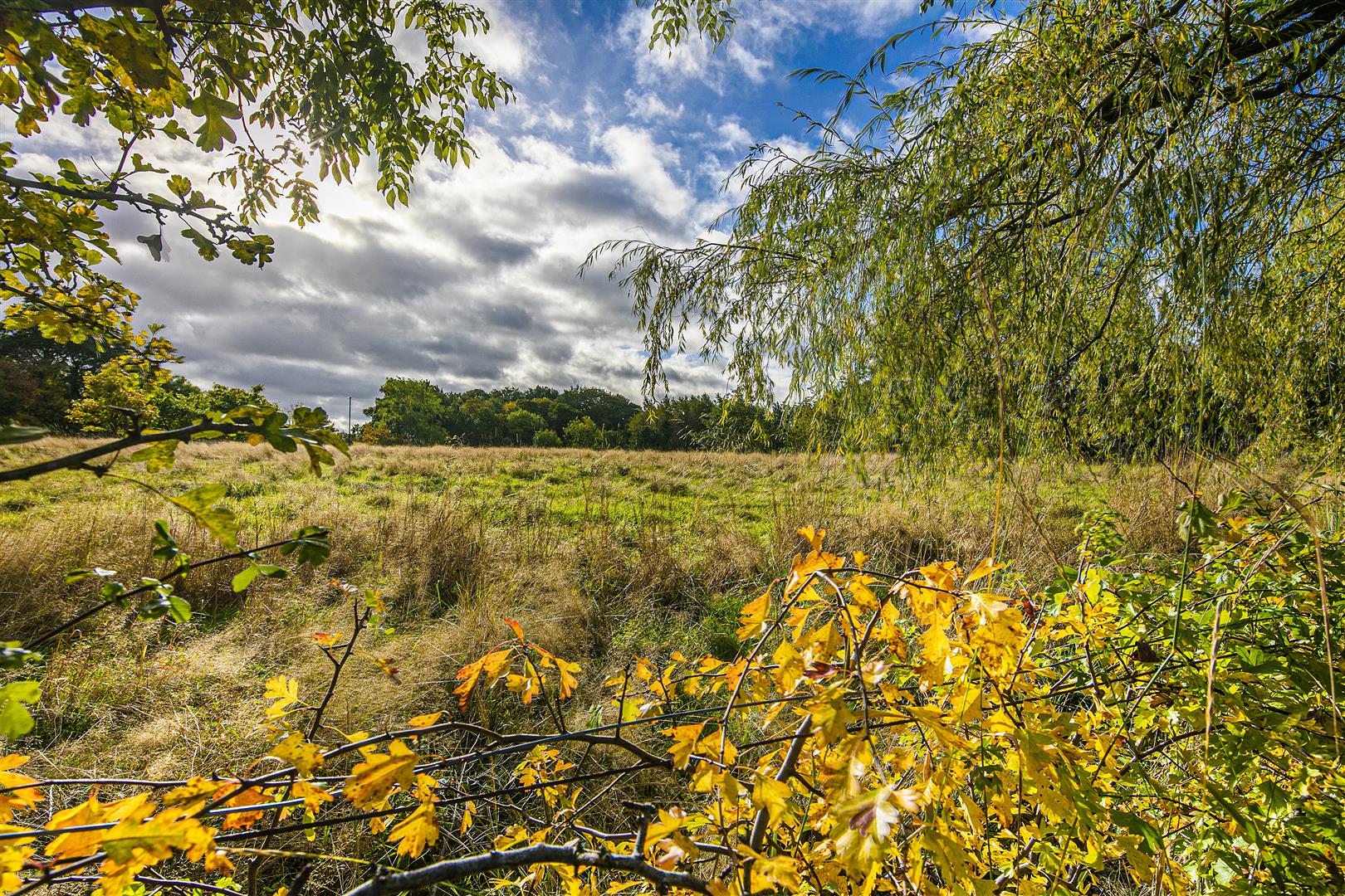 Oak Tree Cottage, 12, Waterfall Close, Norton, Sheffield, S8 8AE