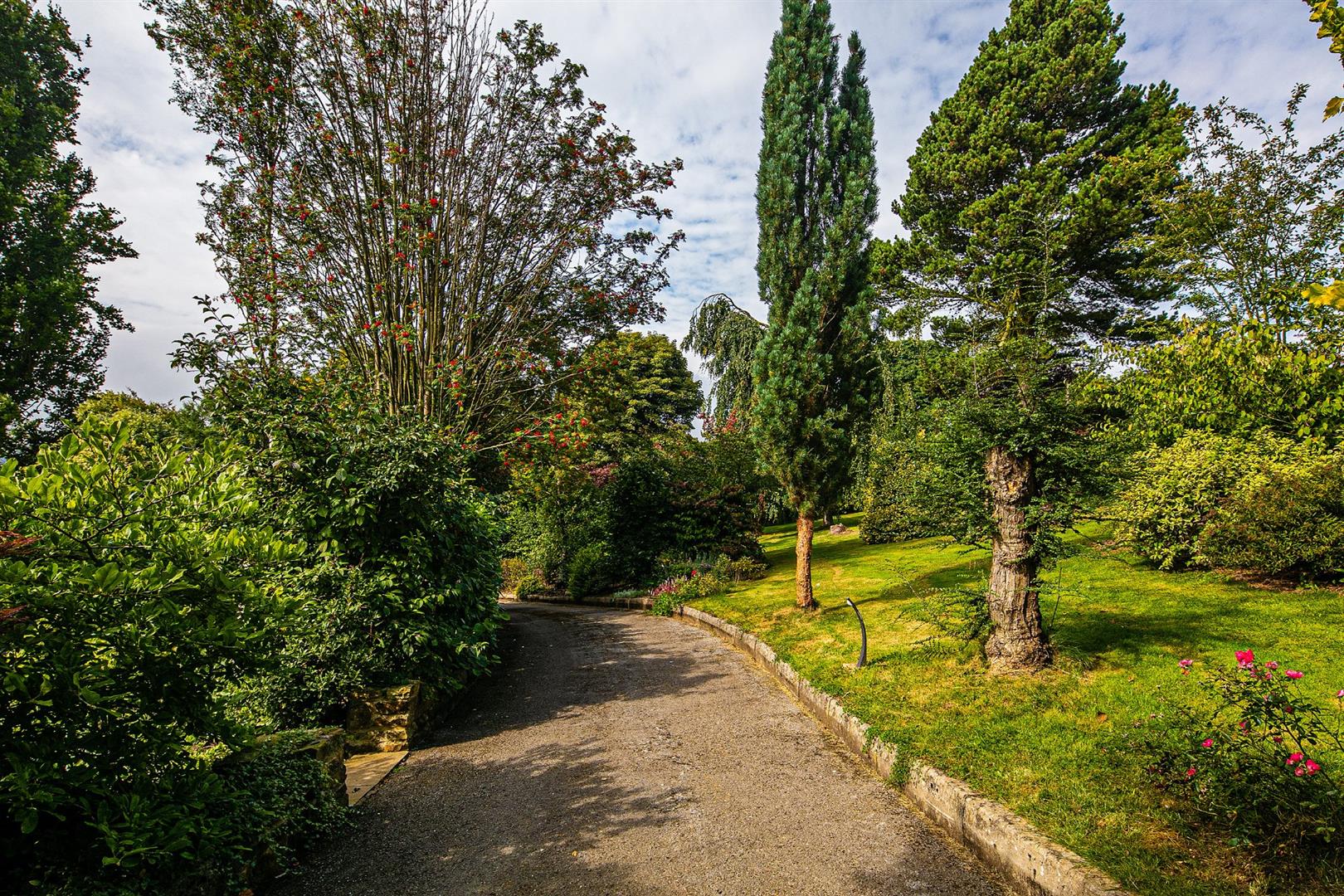 Rhinegold, Hollin House Lane, Loxley, Sheffield, S6 6RG