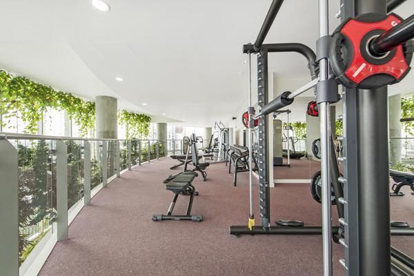 Sky gardens, 155 Wandsworth Road, London SW8